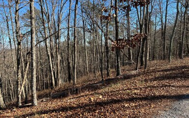 1089 Mayfield Ln NE, Ranger, GA 30734 - photo 3