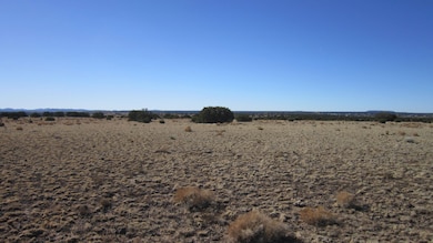 0 Chestnut Ln, Concho, AZ 85924 - photo 6