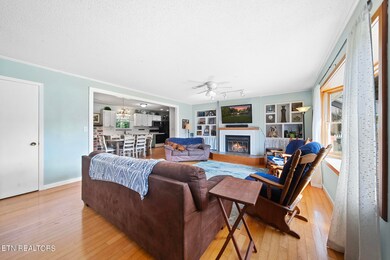 325 Beal Woods Dr, Sevierville, TN 37862 - photo 5