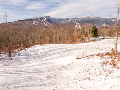 112 Thomas Pasture Rd unit 67, Stowe, VT 05672 - photo 4
