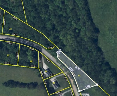 Shaded lot is Lot 42