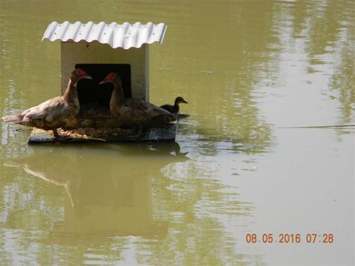 225 Temple Ford Rd, Shelbyville, TN 37160 - photo 4