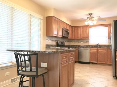 4315 Applewood Ln, Matteson, IL 60443 - photo 4