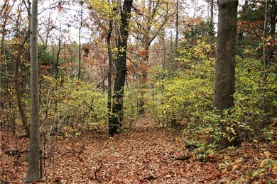 14857 E Highway 264, Lowell, AR 72745 - photo 6