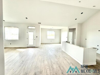 2526 Segovia Ct, Carlsbad, NM 88220 - photo 2