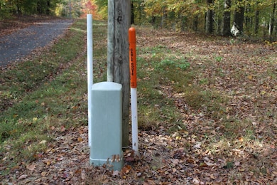 1 Gosser Ridge Spur, Russell Springs, KY 42624 - photo 7