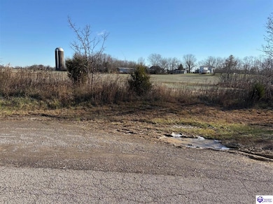 230 Owl Creek Dr, Vine Grove, KY 40175 - photo 2