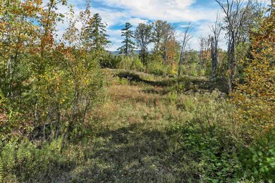 44 Williams Hill Rd, Grafton, NH 03240 - photo 2