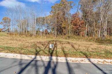 36 Scott Meadows Dr, Asheville, NC 28806 - photo 3