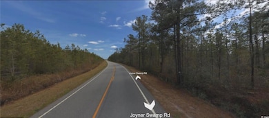 TBD Joyner Swamp Rd unit Lot 6A, Galivants Fry, SC 29544 - photo 4