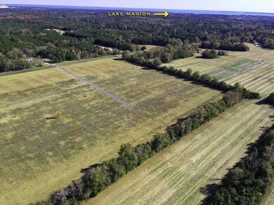 420 Sage Ln, Cross, SC 29436 - photo 3