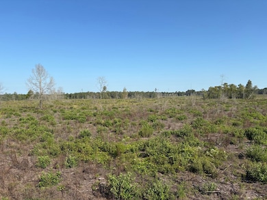 25.29 Acres Alabama 87, Samson, AL 36477 - photo 4