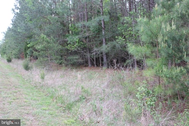 19400 Brandon Way, Great Mills, MD 20634 - photo 3