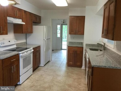 4603 Deming Ave, Alexandria, VA 22312 - photo 4