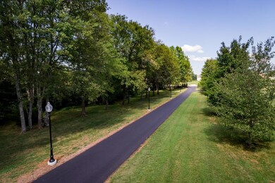 gated entrance and street lamps line the driveway 