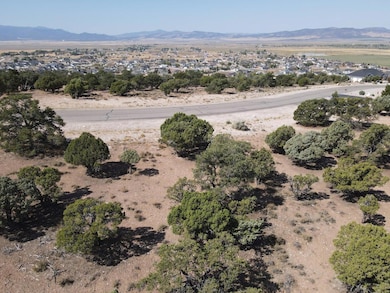 1095 S Panorama Dr, Cedar City, UT 84720 - photo 7