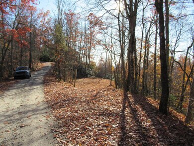 Entrance to Lot 5!