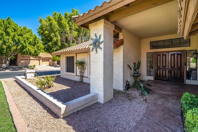 Hackamore-4