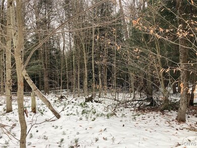 unlisted-address, Ohio, NY 13324 - photo 6