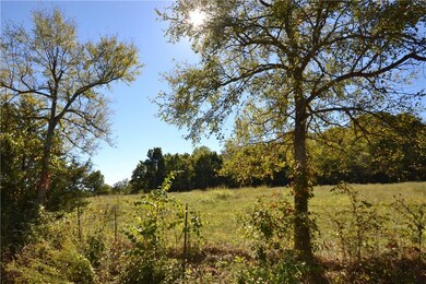 13691 Hogeye Rd, Prairie Grove, AR 72753 - photo 5