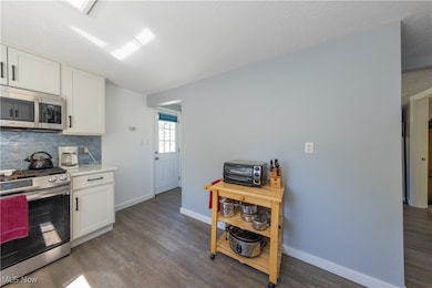 1366 Twinsburg Rd E, MacEdonia, OH 44056 - photo 7