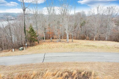 Lot 13 Minnow Ln, Goodview, VA 24095 - photo 7