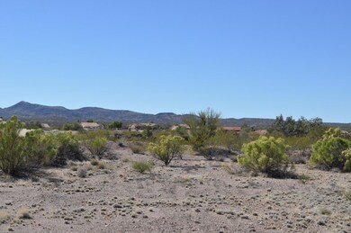 Saddle Ridge Lot #59 004