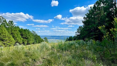 0 Aslin Prairie Rd unit 22990167, Talihina, OK 74571 - photo 4