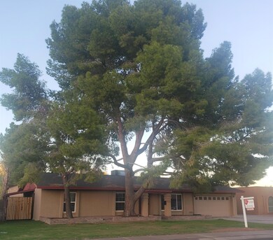Laurel2