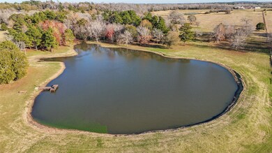 3 acre pond with pier.