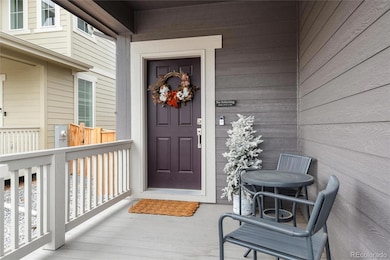 9001 Hightower St, Parker, CO 80134 - photo 3