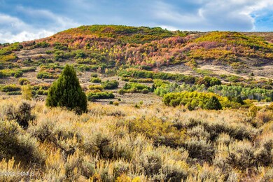 6832 N MacAllan Ln, Heber City, UT 84032 - photo 4