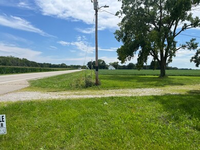 775 N State Route 130, Tuscola, IL 61953 - photo 4