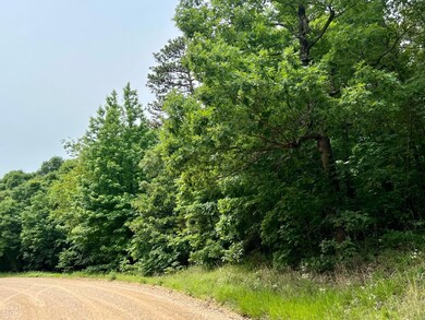 7 Greene 609 Rd, Paragould, AR 72450 - photo 7