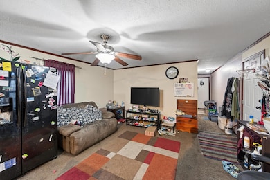 7433 West Cir NE, Fridley, MN 55432 - photo 6