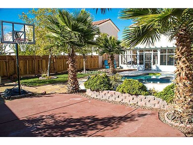 Yard/Garden. Large backyard