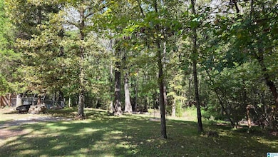 265 Dragline Ln, Leeds, AL 35094 - photo 6