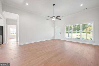 47 Ennis Rd, Pembroke, GA 31321 - photo 5