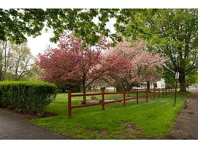 Yard/Garden