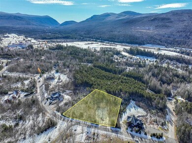 00 Hartford Ln unit 17, Carroll, NH 03583 - photo 6