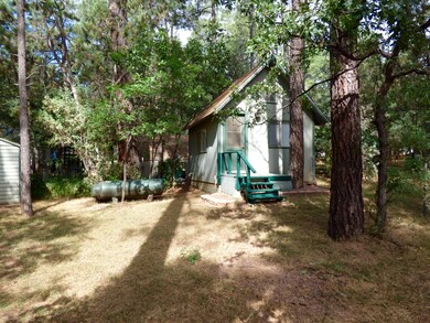 3368 N Bradshaw Cir, Pine, AZ 85544 - photo 6