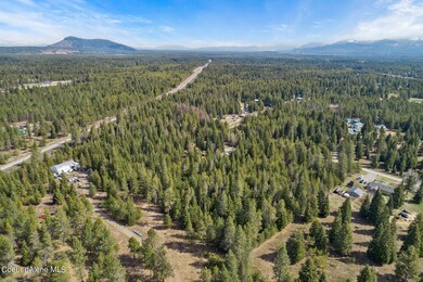 Aerial_FowlerRdLot-4