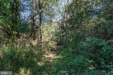 0 Orange Rd unit VAMA2002476, Pratts, VA 22731 - photo 5