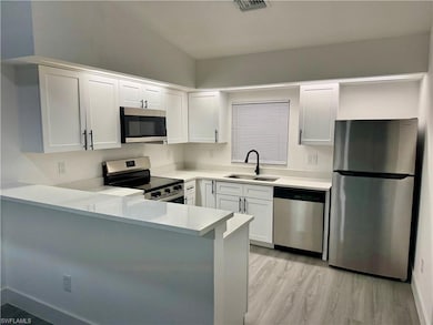 6016 Lacota Ave, Fort Myers, FL 33905 - photo 3