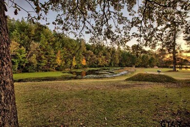 13627 White Tail Dr, Tyler, TX 75707 - photo 3