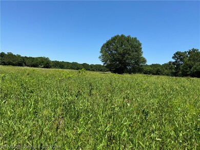 TBD CR 4460 Rd, Albion, OK 74521 - photo 5