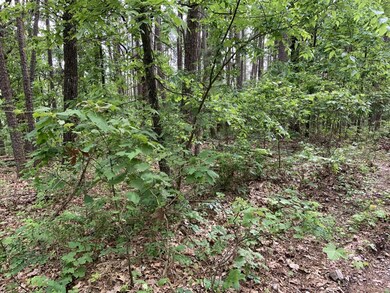 More trees!