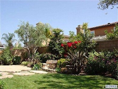 Backyard 2