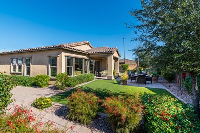 Gorgeous Backyard