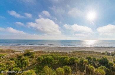 NZ7_2339 (3)